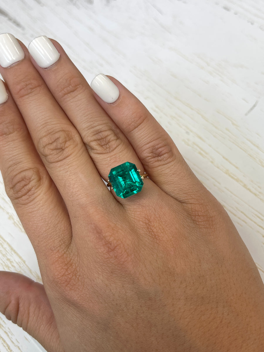 7.52 Carat 13x12 Investment Quality Minor Oil Natural Loose Colombian Emerald- Emerald Cut